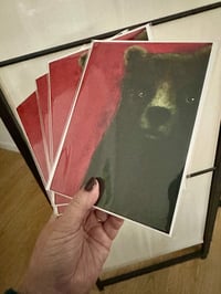 Image 3 of Copy of Set of 5 Moody Bear Red Greeting Cards 5 x 7 Individually Wrapped 
