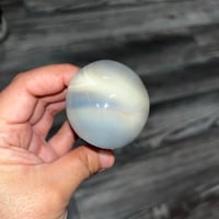 Image 5 of Orca Agate Mushroom E