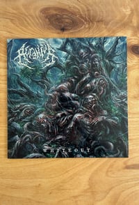 Image 3 of VINYL - Whiteout