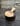Blackwood scoop