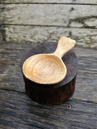 Image 1 of Blackwood scoop