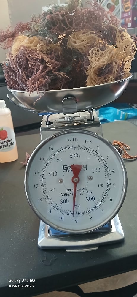 Image of Full Spectrum Seamoss. 1/2 pound