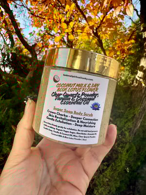 Image of Coconut Milk Sugar Soap Scrub