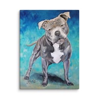 Image 1 of Blue Pitbull