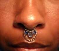 Image 1 of Snowglobe Septum