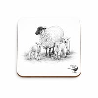 Sheep Coaster