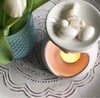 10 x Spring Soy Wax Melts