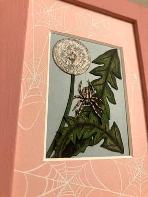 Image of Spider Dandelion Framed Cutout Original