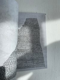 Image 4 of Chris Johanson / Ants