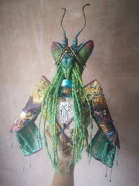 Image 5 of Metamorphia Phase 4 • LACRIMANTISSA