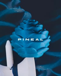 Image 5 of ·pk· PINEAL tama (pre-order)