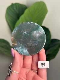 Image 6 of CHOOSE YOUR OWN MOSS AGATE DISK -INDIA- LOT 1