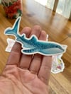 Whale Shark Sticker 