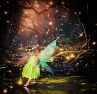 Image 1 of Fairies Session (6/22/25)