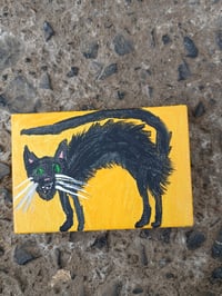 Image 9 of Scaredy Cat