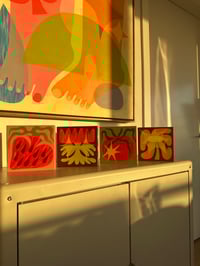 Image 4 of Star Flower 