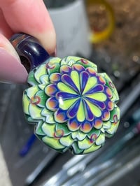 Image 1 of Stellar slyme 