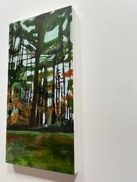 Image 2 of Terrain no. 5