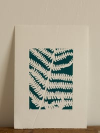 Image 1 of Male Fern A4 - Original Botanical Monoprint 