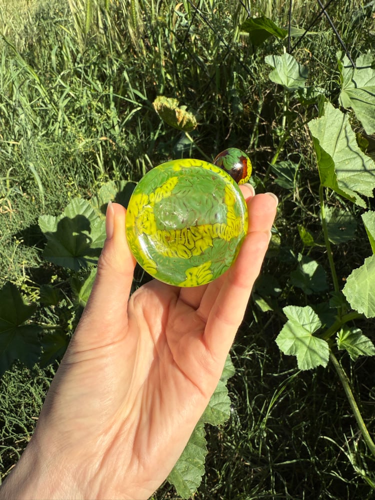 Image of Chanterelle Jammer