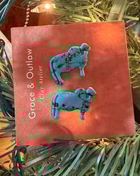 Image 1 of Turquoise Stud Brahmans 