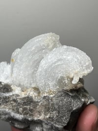 Image 15 of Ram’s Horn Selenite, Gypsum Specimen | Guizhou China #3048