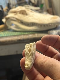 Image 5 of Ox bone Alligator skull pendant 