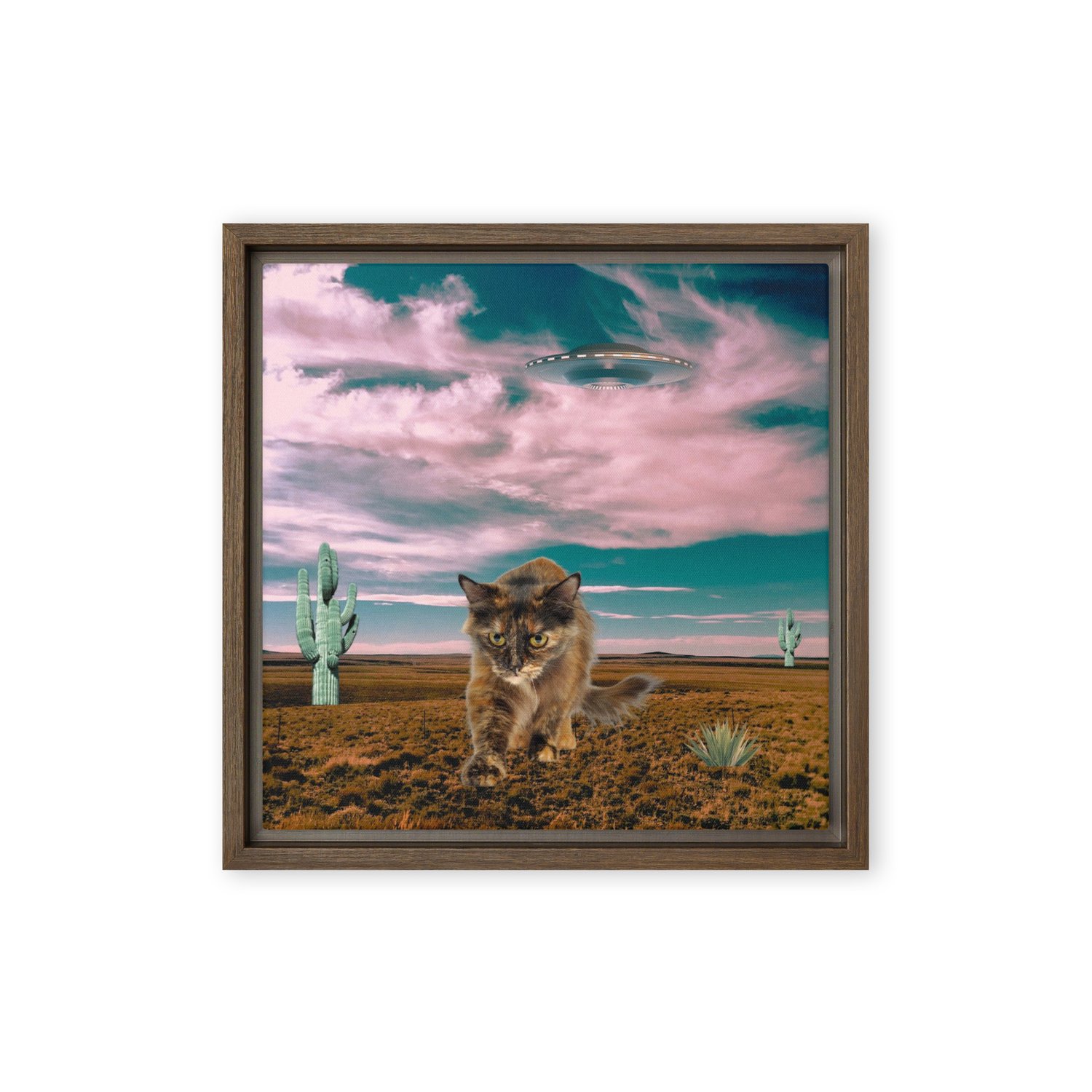 Image of FREE SHIPPING - Kitty Says Nope - 12x12 - Framed Canvas Print