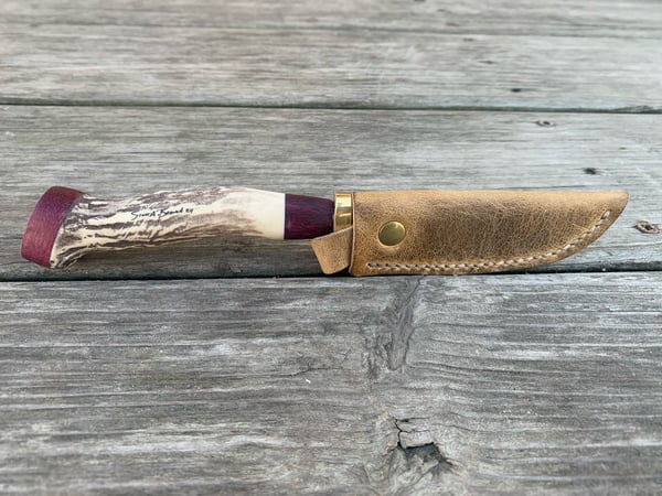 Image of 7.5” Replica Antler & Purple 💜 w/Sheath