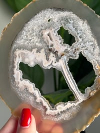 Image 11 of THIN DRUZY AGATE SLICES -BRAZIL-