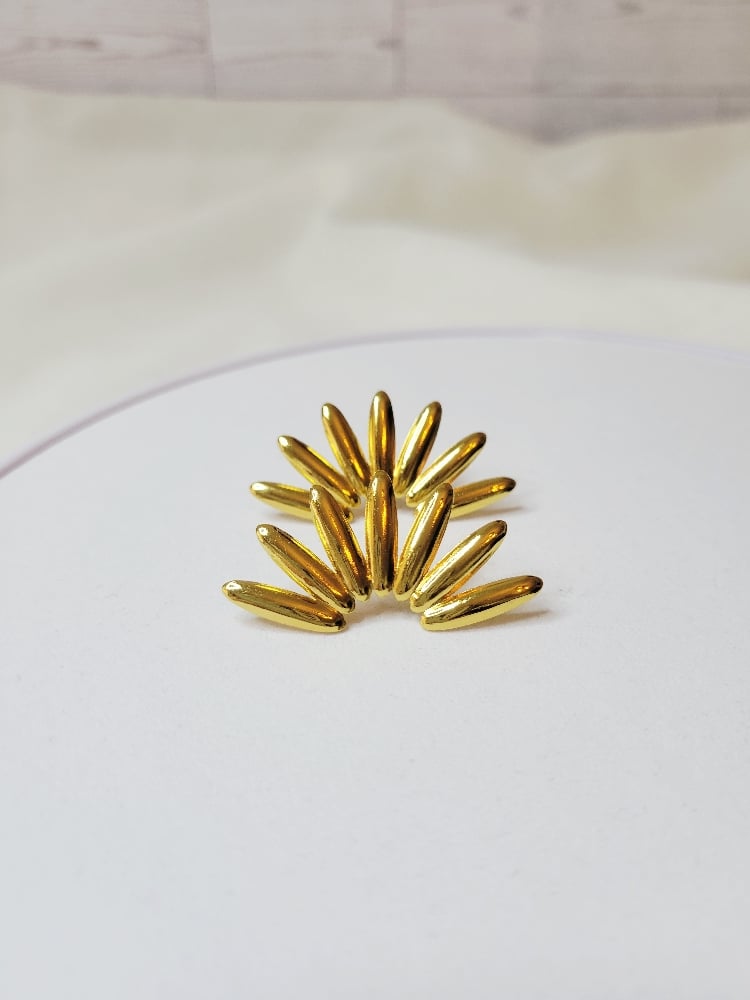 Image of Dorados earrings 