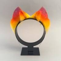 Image 1 of Sunset Kitten