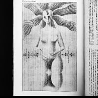 Image 5 of Featured Story 1968 #12