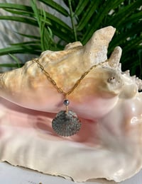 Image 2 of Scallop Shell Necklace N202