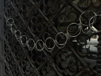 Image 2 of Hoop Belt