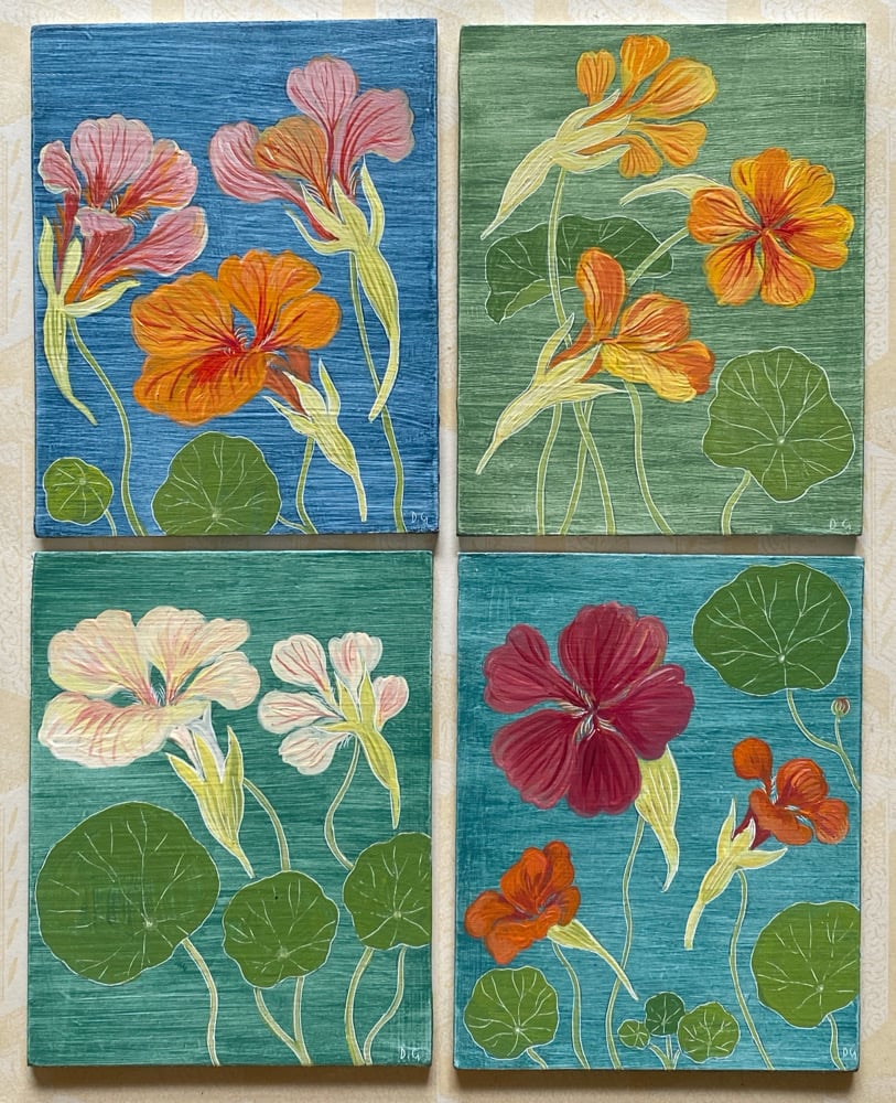 Image of Nasturtiums (A)