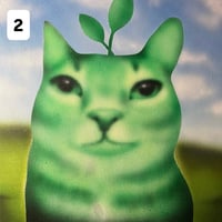 Image 3 of fotosynthesis