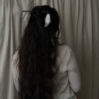 Image 1 of PLUME Pic à Cheveux 