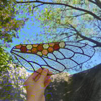 Image 2 of Bee Wing