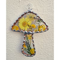 Image 3 of Small Real Flower Toadstool 