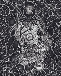 cobweb skull original
