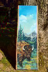 Image 2 of Bison in the Tetons
