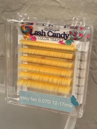 Image 8 of Mini Color Trays