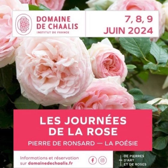 Image of Journées De La Rose 7-8-9 Juin 2024