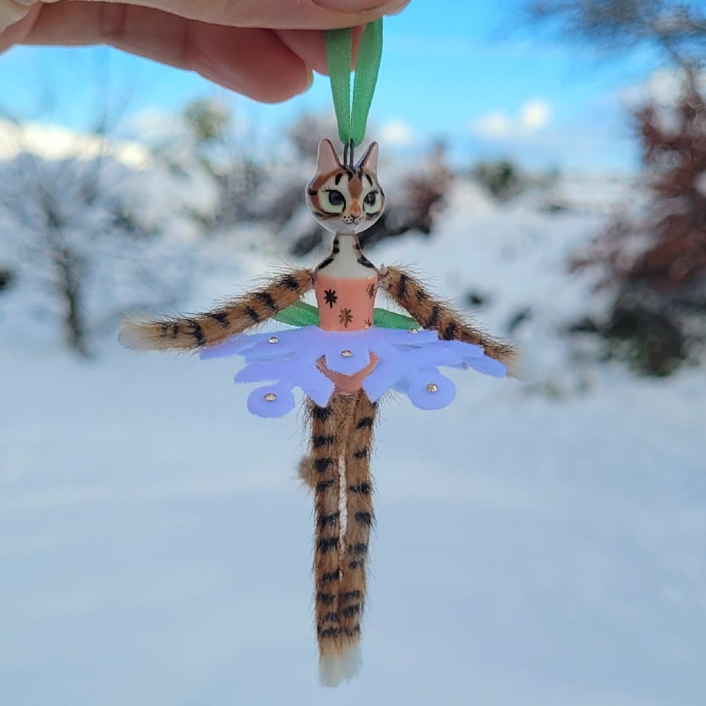 Image of Brown Tabby Snowflake Kitten
