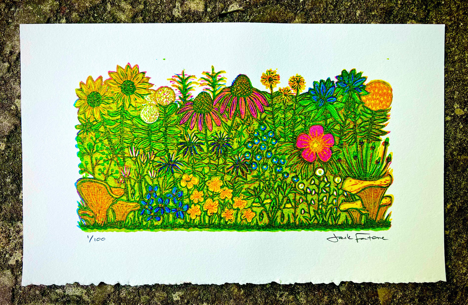 Image of Summer Bloom print