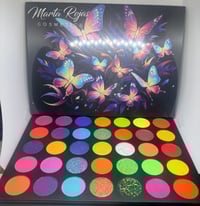 Eyeshadow pallet butterfly’s 