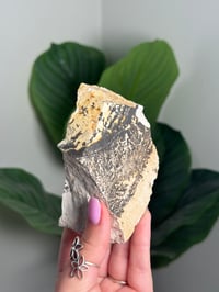 Image 2 of DENDRITIC FELDSPAR -ITALY- A