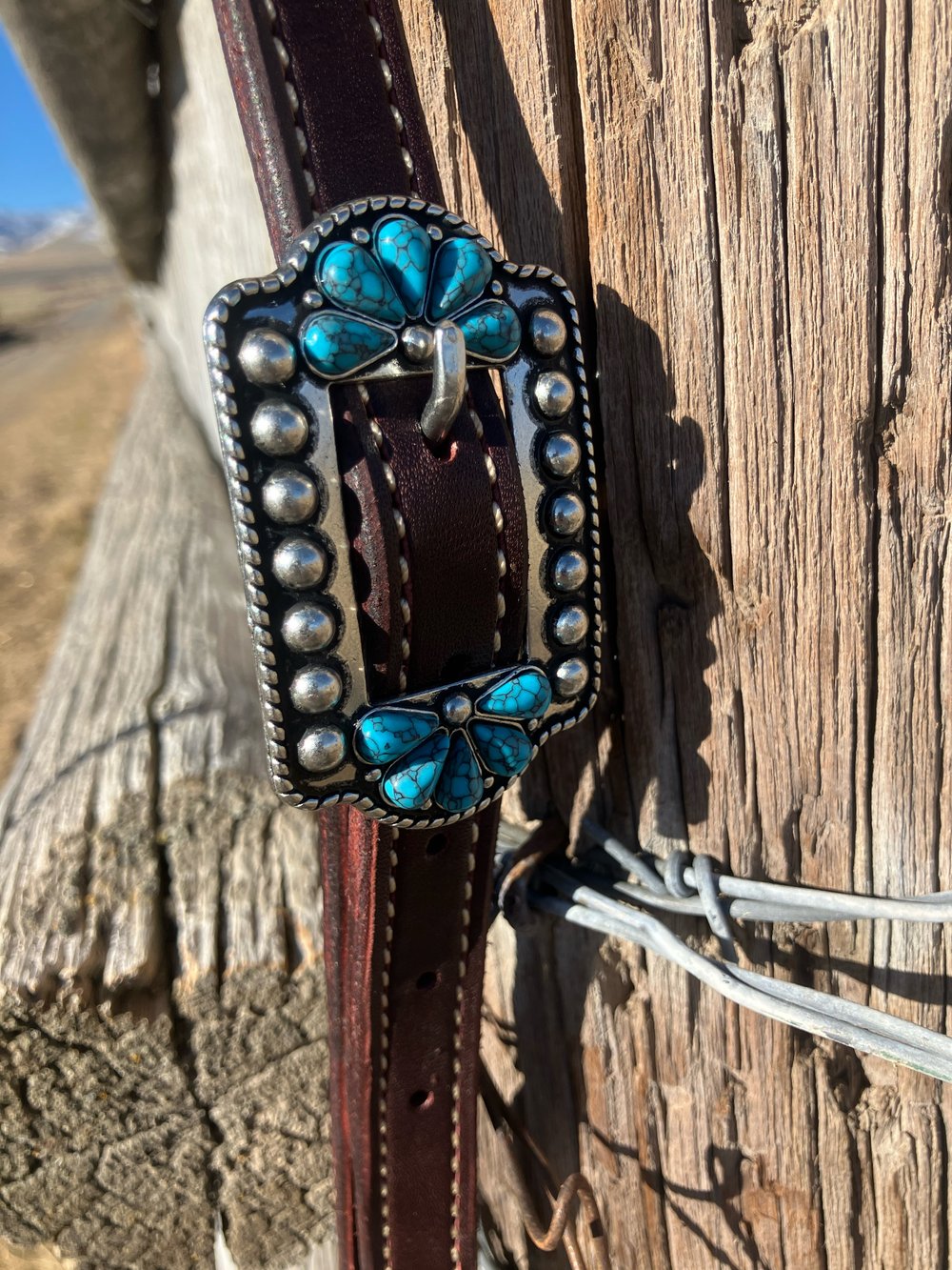 Image of 3/4" Turquoise Sliding Ear Headstall