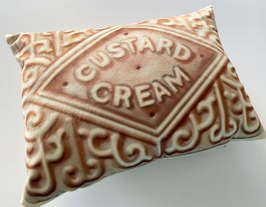 Bird Modern Vintage - Velvet Custard Cream Cushion 
